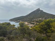 Dragonera island. Boat tour goes here and you have about an hour to walk around after lunch 