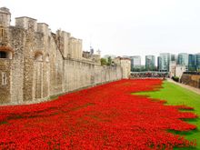 London: Blood Swept Lands and Seas of Red was a public art installation created in the moat of the Tower of London, England, between July and November 2014. It commemorated the centenary of the outbreak of World War I and consisted of 888,246 ceramic red poppies, each intended to represent one British or Colonial serviceman killed in the War.