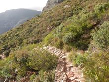 This is probably where we came from, though I cannot be positive, as we did have a couple of flat or even downhill sections as we climbed up. But this surely is a representative sampling of the rocks on the path