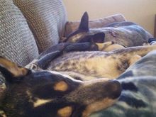 nap time