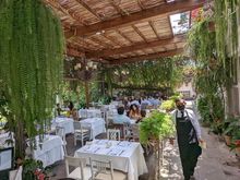 Lunch at Larco Museum.  Absolutely amazing atmosphere, great service, and delicious food.  