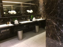 Qatar washroom (before First security for Al Safwa Lounge), Hamad International Airport. 