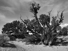 Ghost Ranch, NM