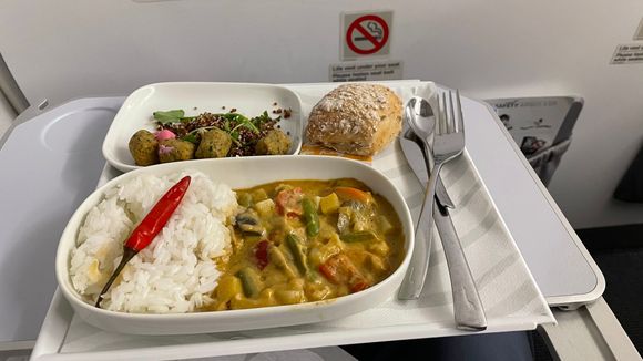 Vegan meal. Tasty falafel and curry