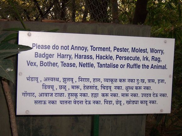 Have they used enough adjectives?