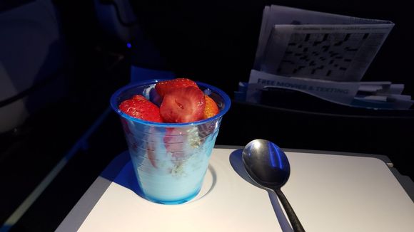 Bonus food smuggled from the United Club: vanilla yogurt, granola, strawberries.  I returned the spoon later!