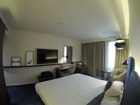 Standard Room / Crowne Plaza Nice Arenas