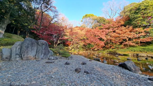The Koisihkawa Korakuen garden near tokyo dome. Beautiful fall colours and at times lots of people taking photos of the red bridge