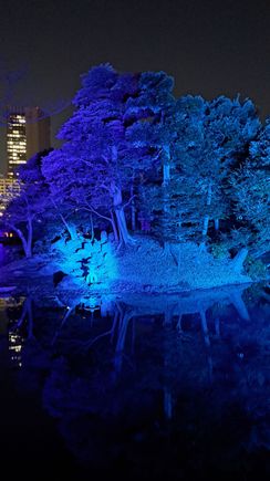 Central island in the main lake in the garden with changing colours