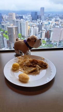 Monty from the Conrad St James's in london , thinking about the okonmiyaki ( almost like a noodle pancake) a Hiroshima specialty at the Hilton Hiroshima executive lounge. The okonomiyaki tasted a lot better than it looks here as it collapsed when dishing it. Had a full breakfast in the restaurant but the lounge had okonomiyaki  so helped my self to a small portion  