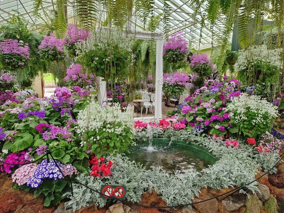 Conservatory 