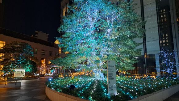 The illuminated trees at night beside old shimbashi station