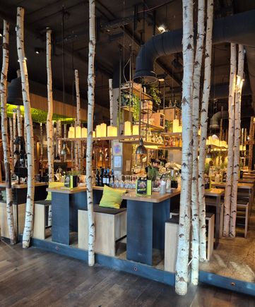 Birch trees every where. I like the decoration.