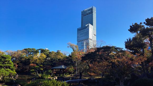View of the tower from the garden

