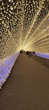 Tunnel of lights (about 200m)