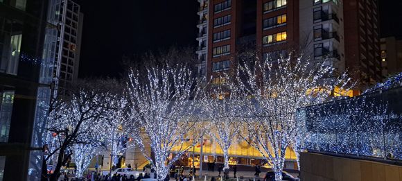 Illuminated trees by the Mori tower