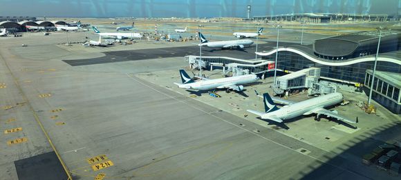 View from the skybridge