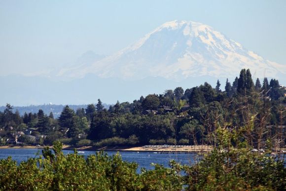 Mt. Rainier from the tea spot.