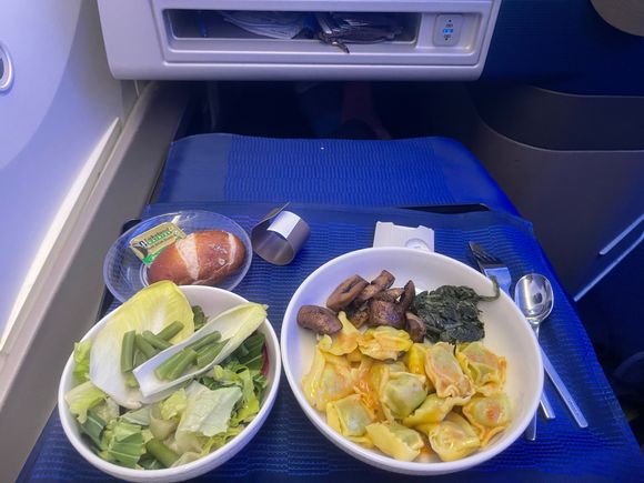 LIS-EWR.
No menus. 
Pastas were bad, and not even hot.
Cheese plate was excellent and I asked a dessert. Rasperry pie which was delicious. Like, my mom’s pies.