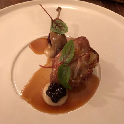 Quail - excellent preparation; the bread sauce was excellent