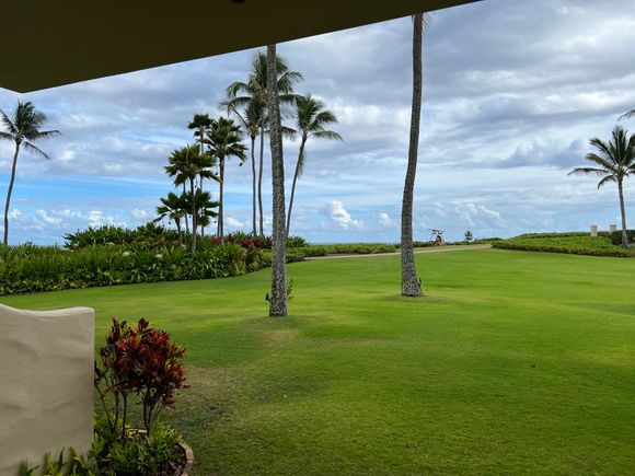 View from room
