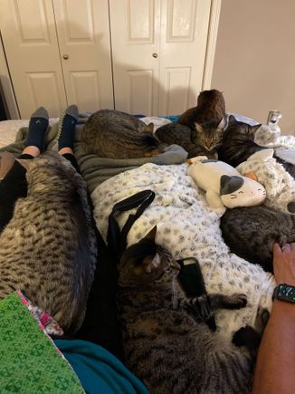 The monsters are taking good care of their grandma while she recovers from surgery.