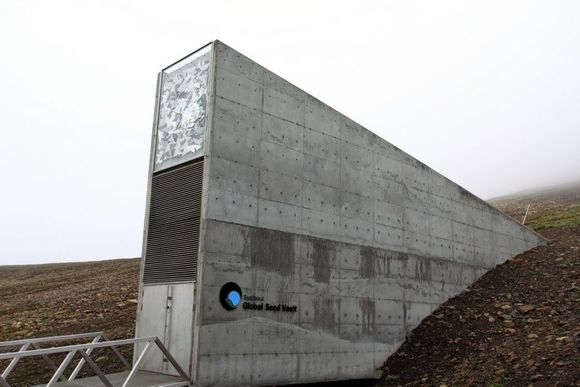 The Seed vault