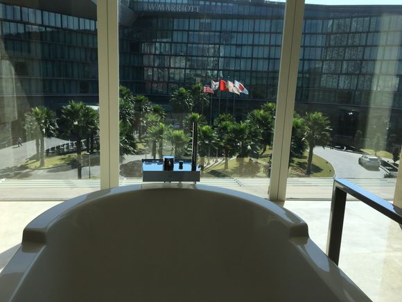 The view from the tub