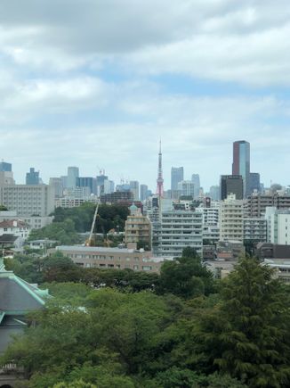 Tokyo Tower View Room