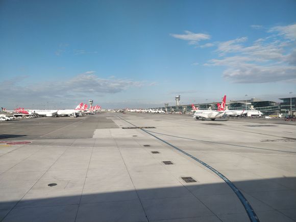 Looks like this is a Turkish airlines hub... :-)
