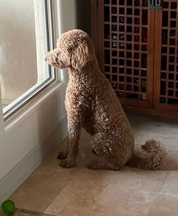 Waiting for dad