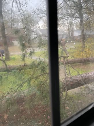 View out a front window 