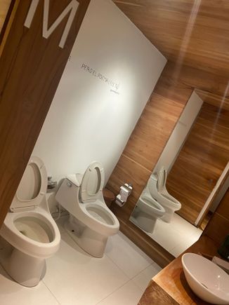 Weirdest bathroom ever. Hold hands with a buddy while going number two?!