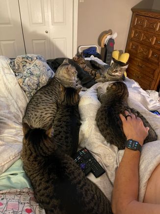 The babies are taking good care of my housemate while he heals from knee surgery.