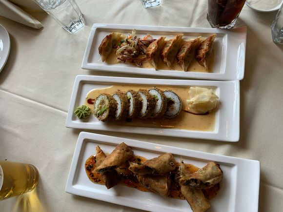 Lobster potstickers, chicken springrolls
