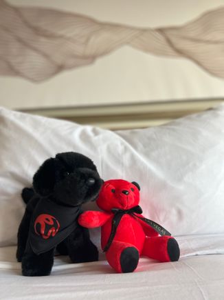 Both are sold in the store. I had asked for the red Conrad bear because of how Conrad offers plush toys. Housekeeping kept giving me push back and then it showed up in my room one day so I can’t tell if it’s supposed to be complimentary or not?