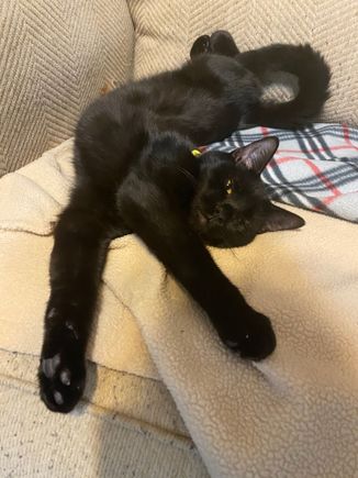 Salem