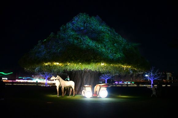 The tree facing towards the centre track