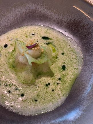 Brittany scallop, kohl rabi