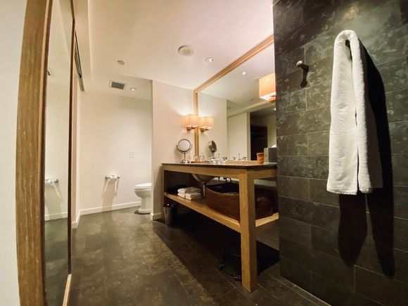 Wide single vanity, no separate WC