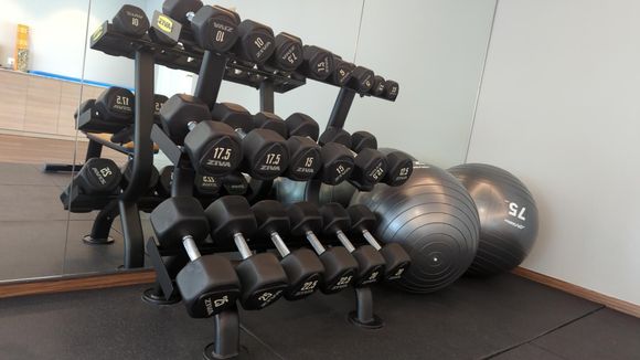 Gym - free weights