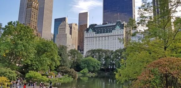 Looking across at the hotel from Central Park