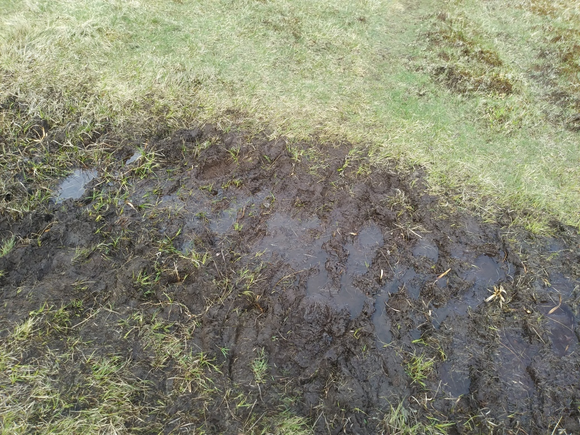 mucky trail