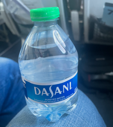 The extent of the "in-flight service"