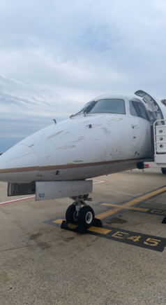 Seems like this bird is due for a wash!