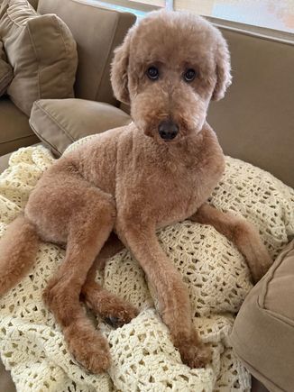 Home from the spa!