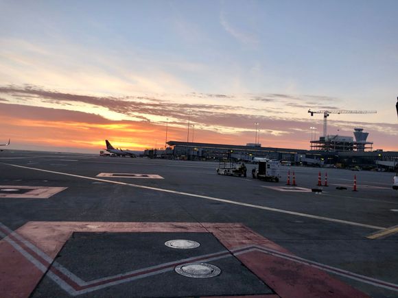 Green Tag luggage waiting created a wonderful early morning photo opportunity. 