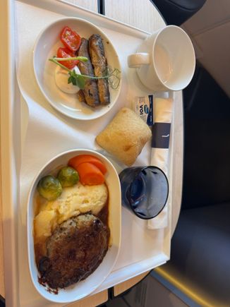 I found this a much better service than BA. Nice starter of smoked small fish and then the game patty with mash. Happy customer. 