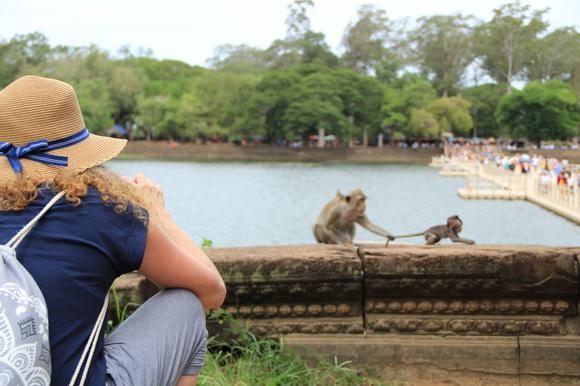 Monkeys And The Pontoon Bridge