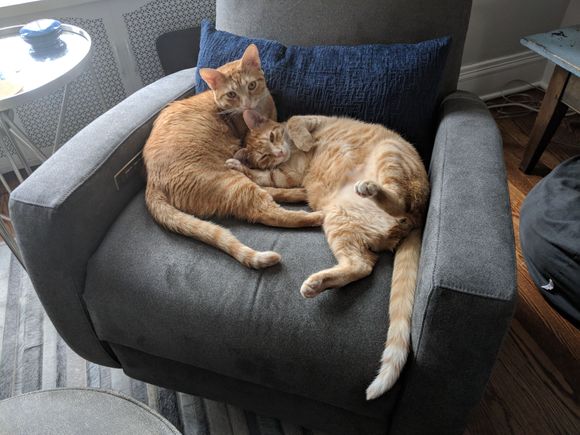 BFFs. (Or, as we sometimes call them, Ace & Gary.)